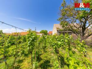 Prodej zemědělské usedlosti, Šumice, 263 m2