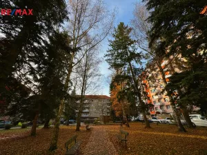 Pronájem bytu 2+1, Písek - Budějovické Předměstí, Budovatelská, 64 m2