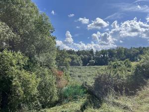 Prodej louky, Praha - Královice, 698 m2