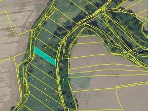 Prodej louky, Praha - Královice, 698 m2