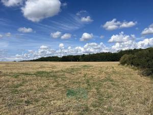 Prodej louky, Praha - Královice, 698 m2