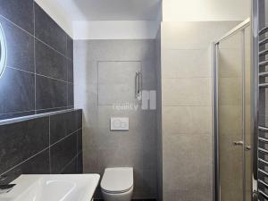 Pronájem bytu 1+kk, Kutná Hora, Plk. Loudy, 30 m2