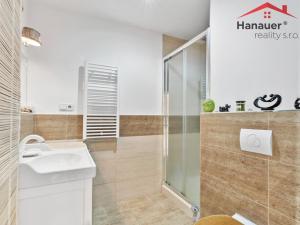 Prodej bytu 2+1, Děčín - Děčín VI-Letná, Severní, 50 m2