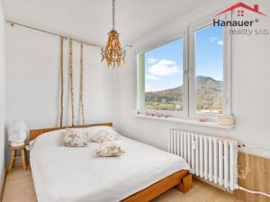 Prodej bytu 2+1, Děčín - Děčín VI-Letná, Severní, 50 m2