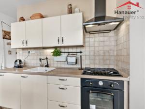 Prodej bytu 2+1, Děčín - Děčín VI-Letná, Severní, 50 m2