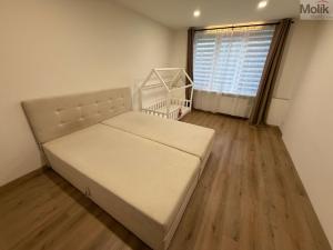 Pronájem bytu 2+1, Most, Josefa Skupy, 51 m2