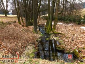 Prodej pozemku pro bydlení, Pěčín, 9989 m2