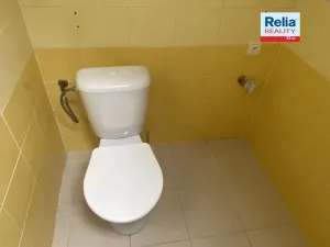 Pronájem bytu 1+1, Liberec, Havlíčkova, 45 m2