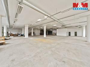 Pronájem obchodního prostoru, Děčín - Děčín IV-Podmokly, Plzeňská, 666 m2