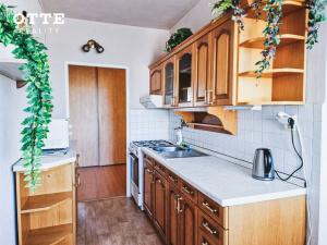 Prodej bytu 3+1, Plzeň, Macháčkova, 69 m2