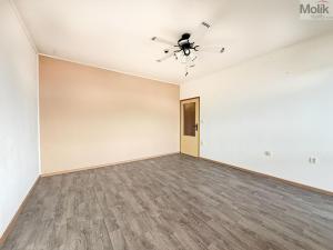 Pronájem bytu 3+1, Teplice - Trnovany, U Červeného kostela, 77 m2