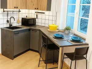 Pronájem bytu 1+kk, Praha - Hostivař, Dolnoměcholupská, 24 m2