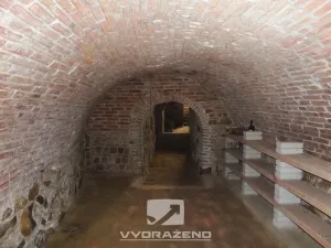 Prodej obchodního prostoru, Dolní Kounice, Hlavní, 400 m2