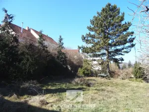 Prodej rodinného domu, Dolní Kounice, Hlavní, 400 m2