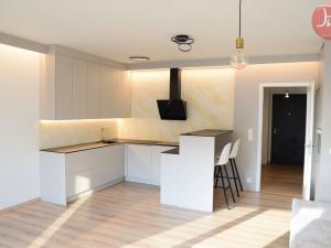 Pronájem bytu 1+kk, Ostrava, F. X. Riepla, 44 m2