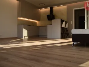 Pronájem bytu 1+kk, Ostrava, F. X. Riepla, 44 m2