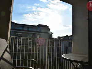 Pronájem bytu 1+kk, Ostrava, F. X. Riepla, 44 m2