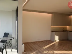 Pronájem bytu 1+kk, Ostrava, F. X. Riepla, 44 m2