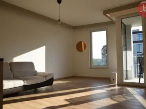 Pronájem bytu 1+kk, Ostrava, F. X. Riepla, 44 m2