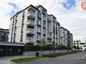 Pronájem bytu 1+kk, Ostrava, F. X. Riepla, 44 m2