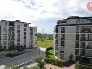 Pronájem bytu 1+kk, Ostrava, F. X. Riepla, 44 m2