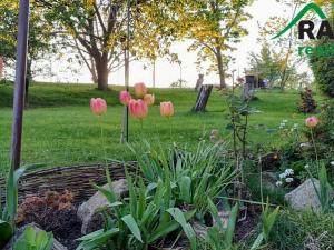 Prodej chaty, Javorník, 80 m2