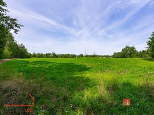 Prodej pozemku pro bydlení, Nové Sedlo - Loučky, Nové Loučky, 47741 m2