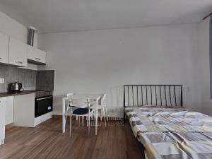 Pronájem bytu 1+kk, Kutná Hora, Orelská, 22 m2