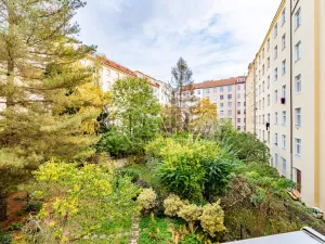 Pronájem bytu 2+kk, Praha - Vinohrady, Na Folimance, 53 m2