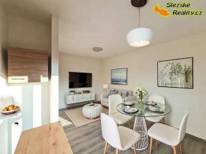 Pronájem bytu 1+kk, Ostrava, Krakovská, 22 m2