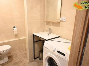 Pronájem bytu 1+1, Paskov, Papírenská, 44 m2