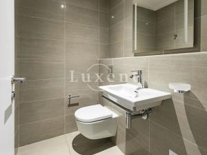 Pronájem bytu 4+kk, Praha, Holečkova, 212 m2