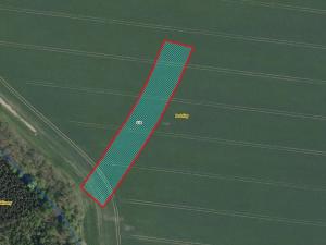 Prodej pole, Králíky, 5334 m2