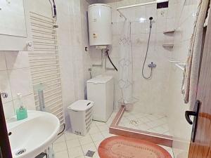 Pronájem bytu 1+1, Milešín, 57 m2