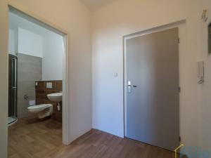 Prodej bytu 1+kk, Choceň, Peliny, 28 m2