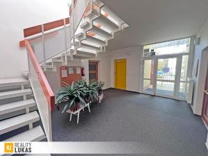 Pronájem bytu 2+kk, Ostrava, Jiřího Trnky, 45 m2