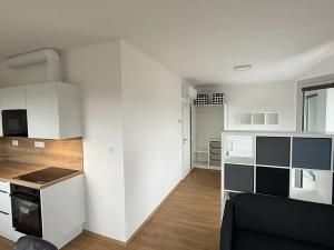 Pronájem bytu 1+kk, Přerov, Čechova, 32 m2