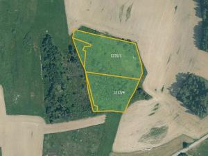 Prodej pole, Velký Bor, 45700 m2