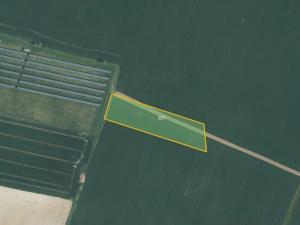 Prodej pole, Turovice, 7608 m2