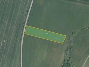 Prodej pole, Uhersko, 11302 m2