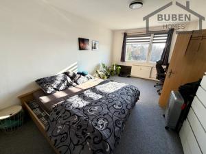 Pronájem bytu 1+1, Planá, Fučíkova, 42 m2