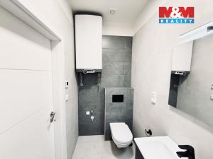 Pronájem bytu 1+kk, Praha - Košíře, U Tyrše, 19 m2