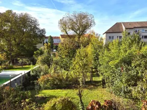 Prodej vícegeneračního domu, Písek, Harantova, 454 m2