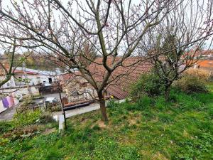 Prodej rodinného domu, Svojšice, 93 m2