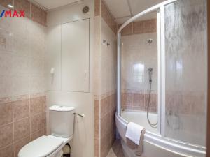 Pronájem bytu 3+1, Most, K. H. Máchy, 58 m2