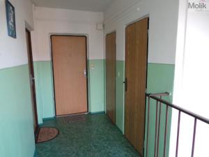 Prodej bytu 2+kk, Most, Albrechtická, 38 m2