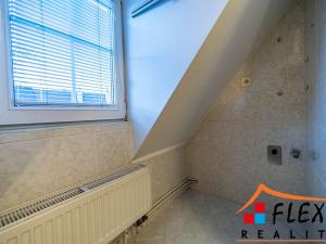 Pronájem bytu 1+1, Opava - Předměstí, Těšínská, 41 m2