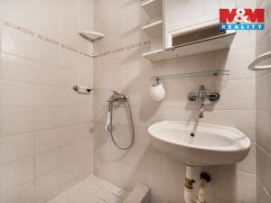 Pronájem zemědělské usedlosti, Čistá, 94 m2