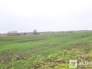 Prodej pole, Kostelec nad Labem - Jiřice, 11950 m2