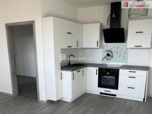 Pronájem bytu 2+kk, Ostrov, Lidická, 50 m2